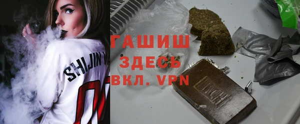 гидра Кущёвская