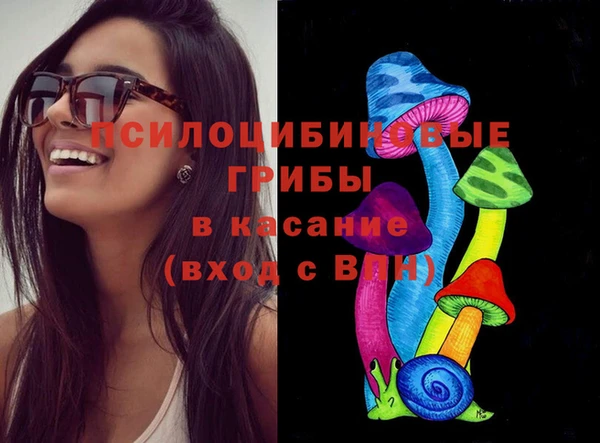 гидра Кущёвская