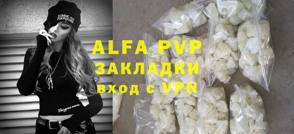 гидра Кущёвская