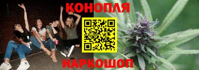 амф Гай
