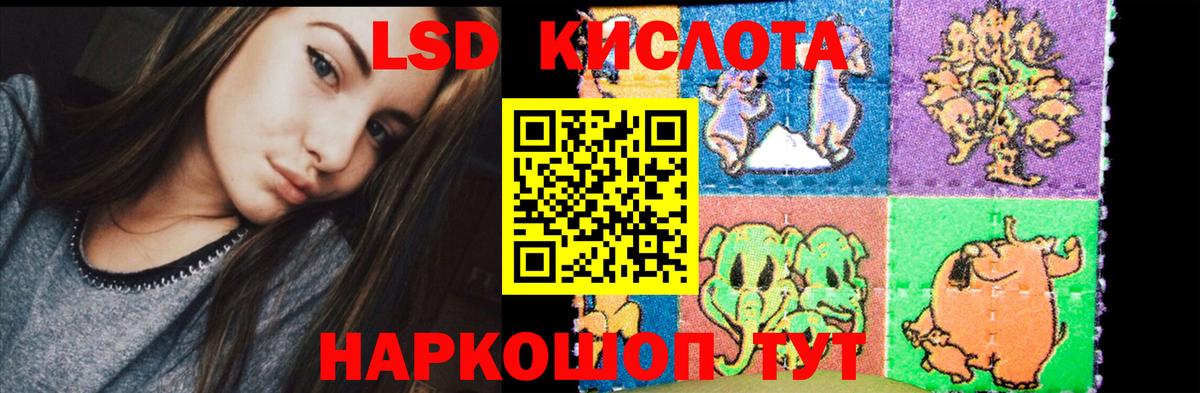 LSD-25 экстази  Вход с VPN  Майкоп  Лсд 25 экстази кислота 