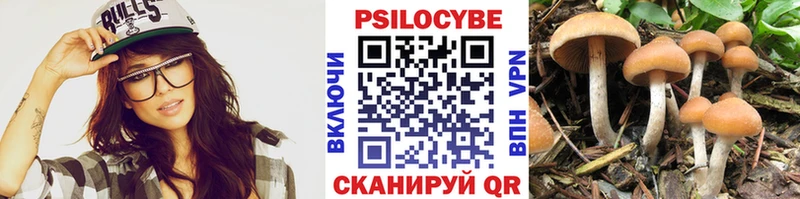 Псилоцибиновые грибы мицелий  Майкоп 