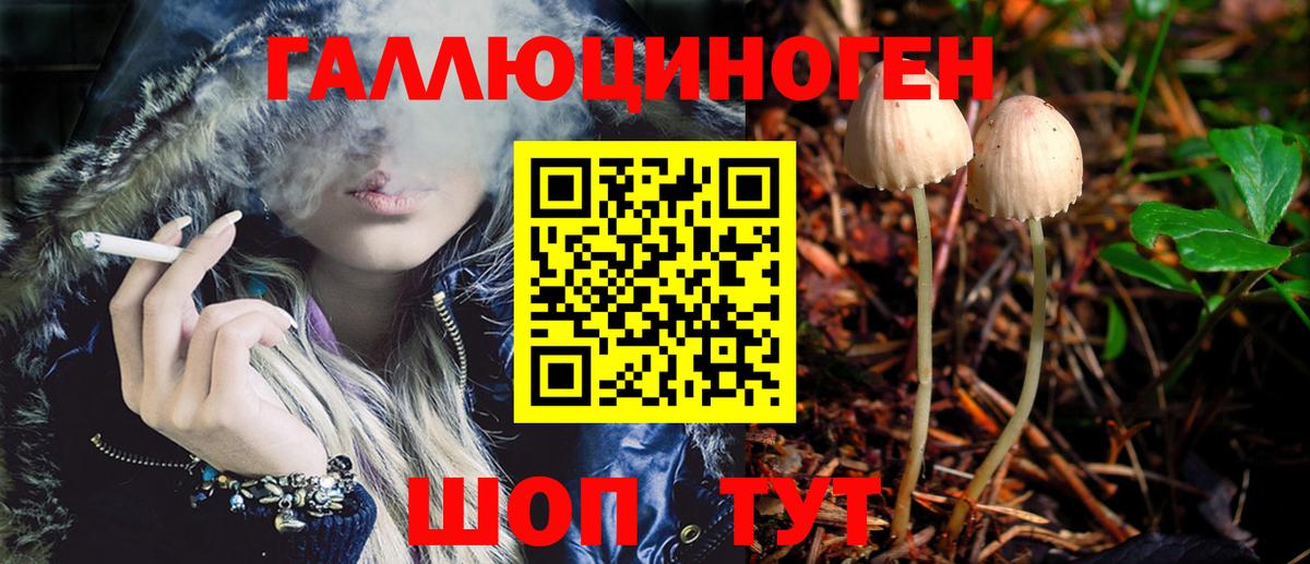 Майкоп  Псилоцибиновые грибы GOLDEN TEACHER  Псилоцибиновые грибы мухоморы  Вход с VPN 