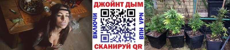 Шишки марихуана сатива  Майкоп 